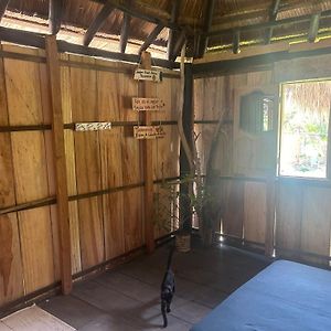 Habitación con Cama King